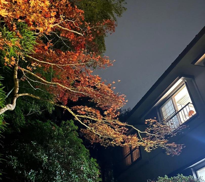 Photo of Others in Hakone