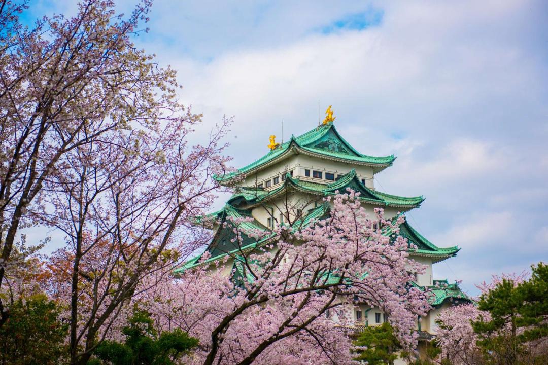Photo of Others in Nagoya City Centre