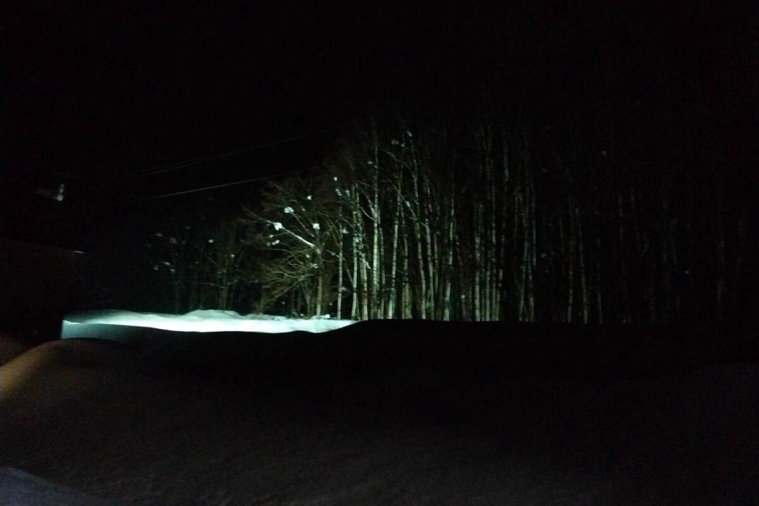 Photo of Others in Niseko