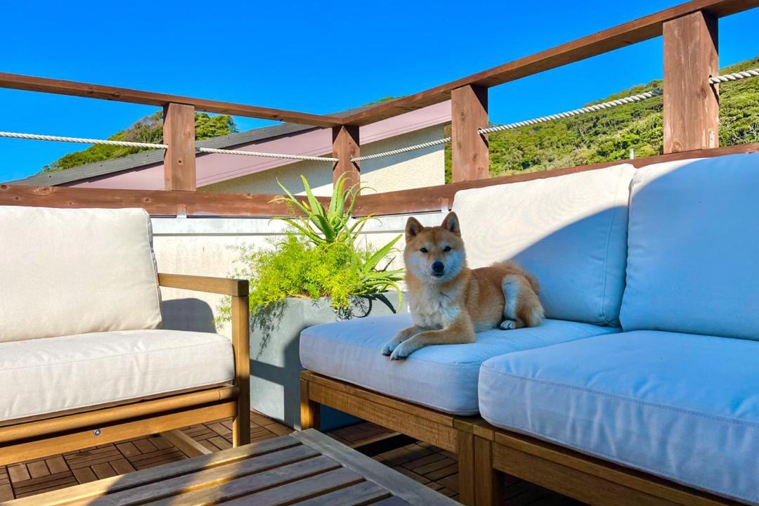 Photo of Patio Balcony in Hayama