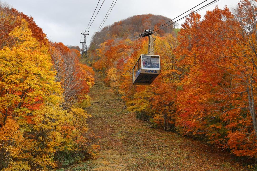 Photo of Others in Aomori