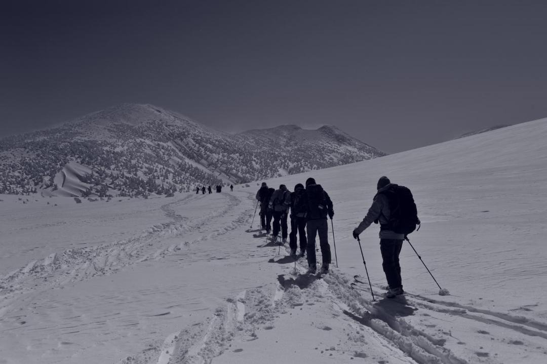 Photo of Others in Aomori
