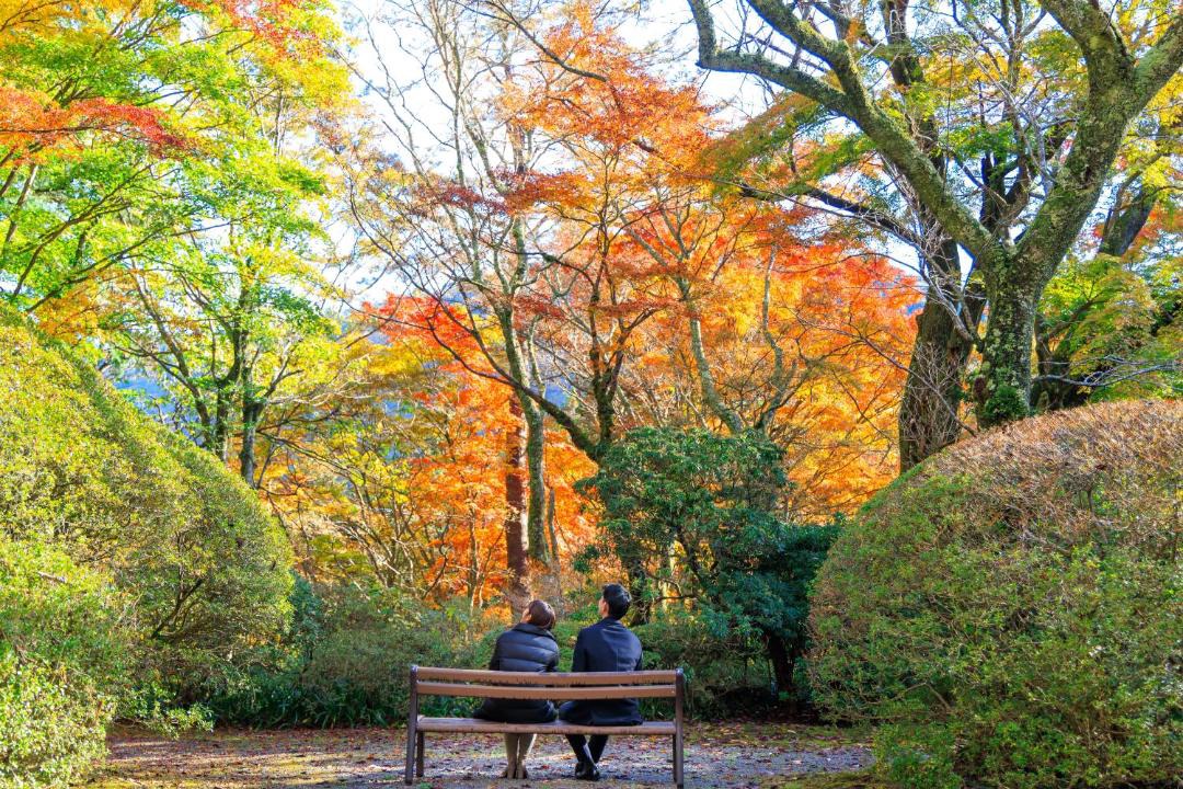 Photo of Others in Hakone