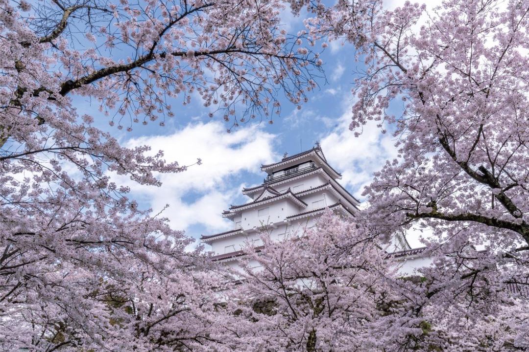 Photo of Others in Inawashiro