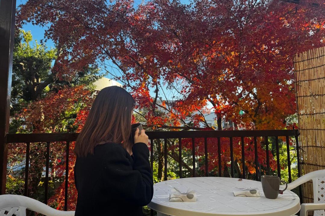 Photo of Others in Narita