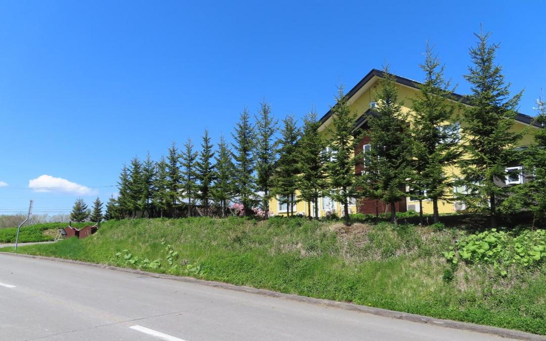 Photo of Others in Biei