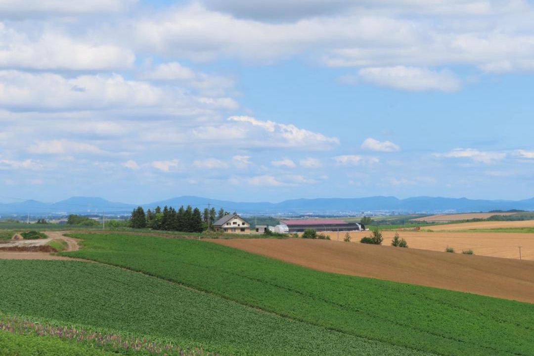 Photo of Others in Biei