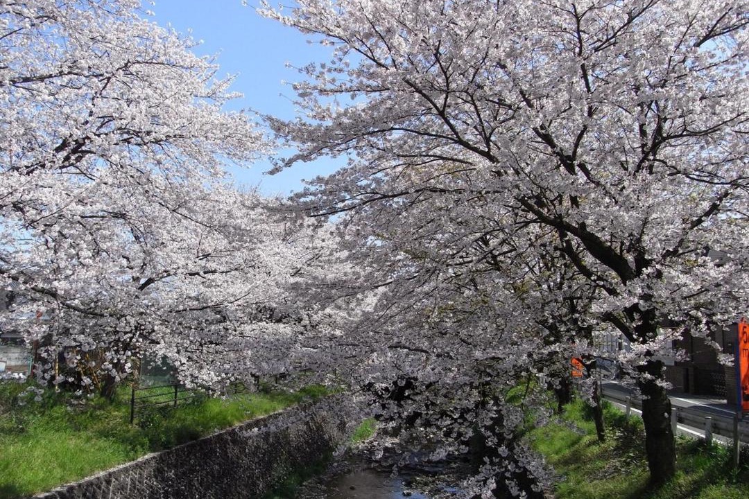 Photo of Others in Tokorozawa