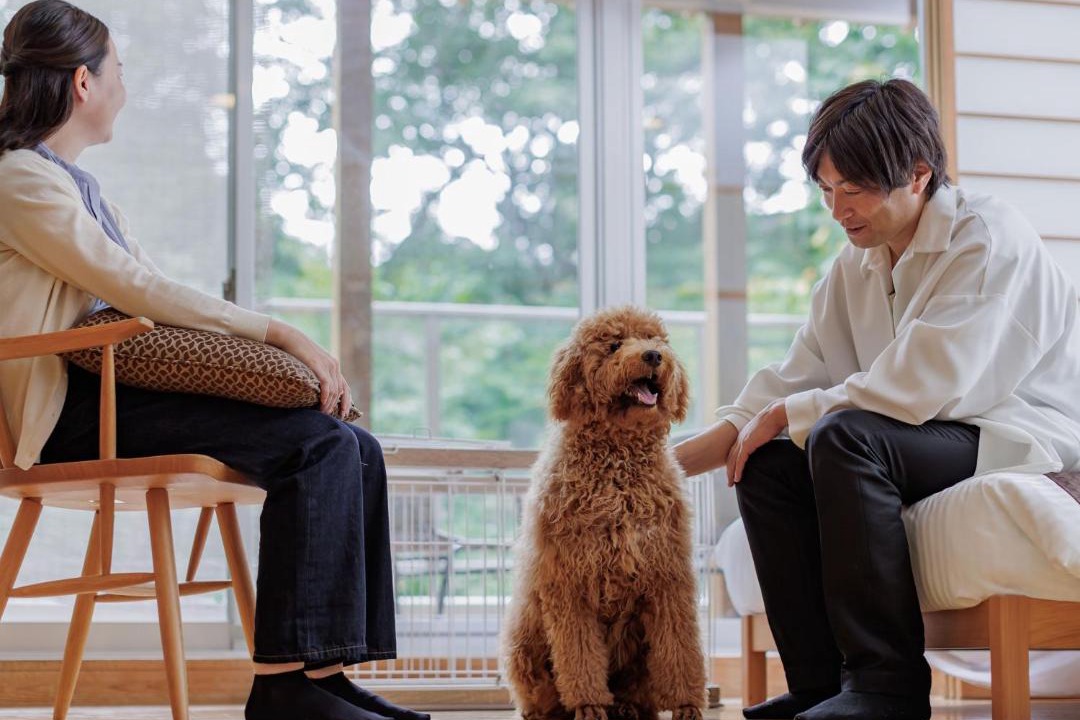 Photo of Others in Shiobara-machi
