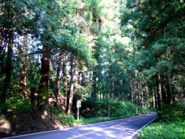 Photo of Others in Nikko