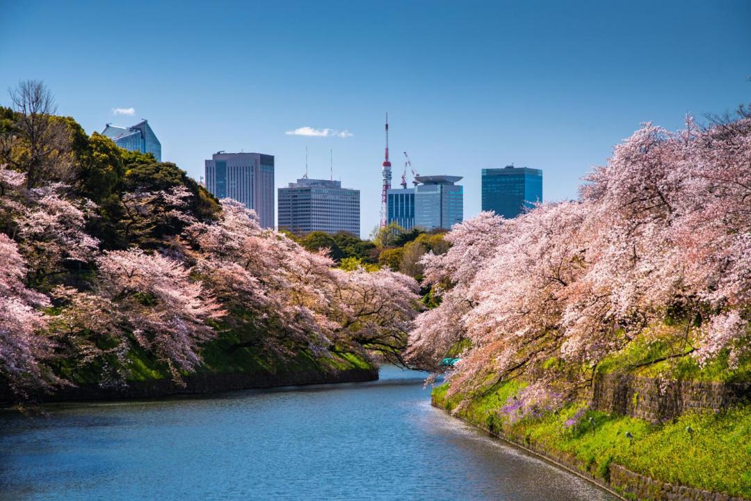 Photo of Others in Chiyoda