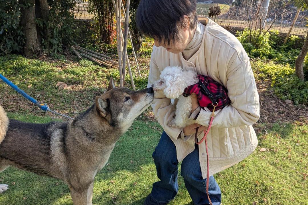 Photo of Others in Kikuchi