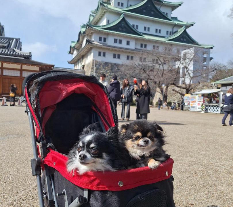 Photo of Others in Mizuho Ward