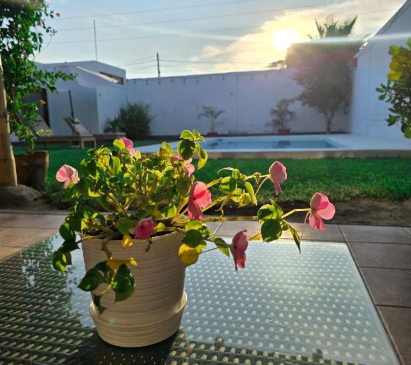 Photo of Others in Pisco