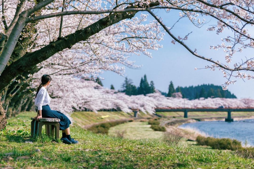 Photo of Others in Senboku