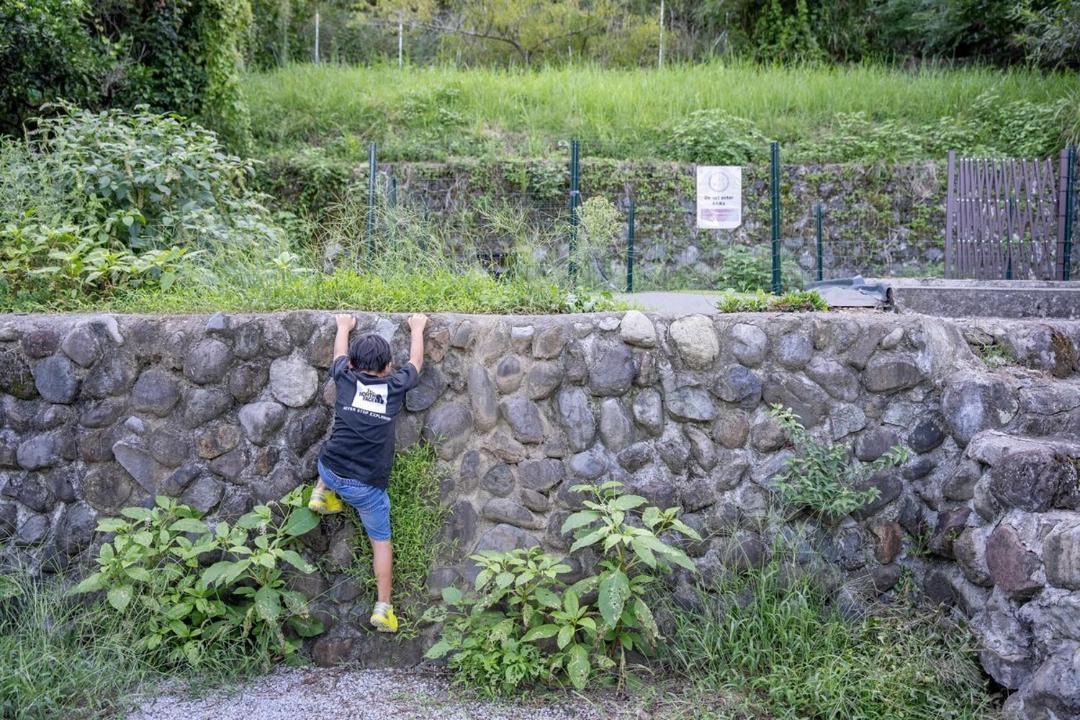 Photo of Others in Izu