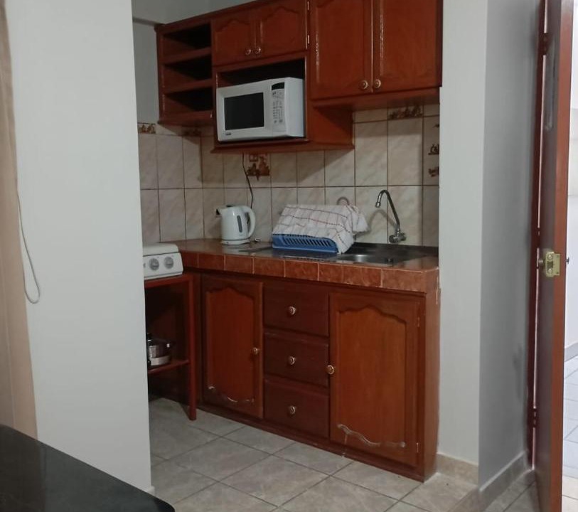 Photo of Kitchen in Tacna