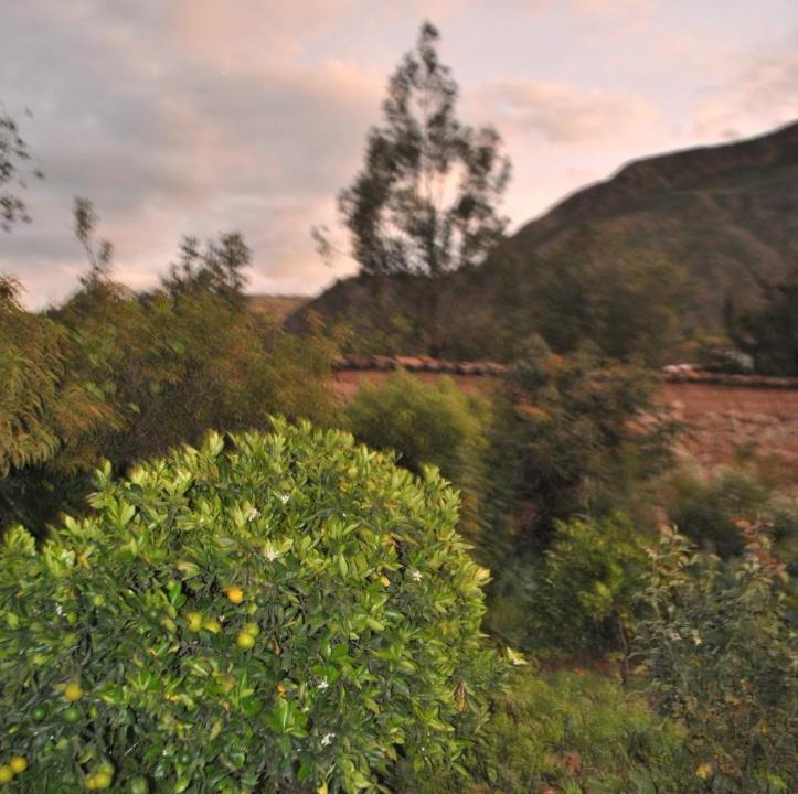 Photo of Others in Urubamba