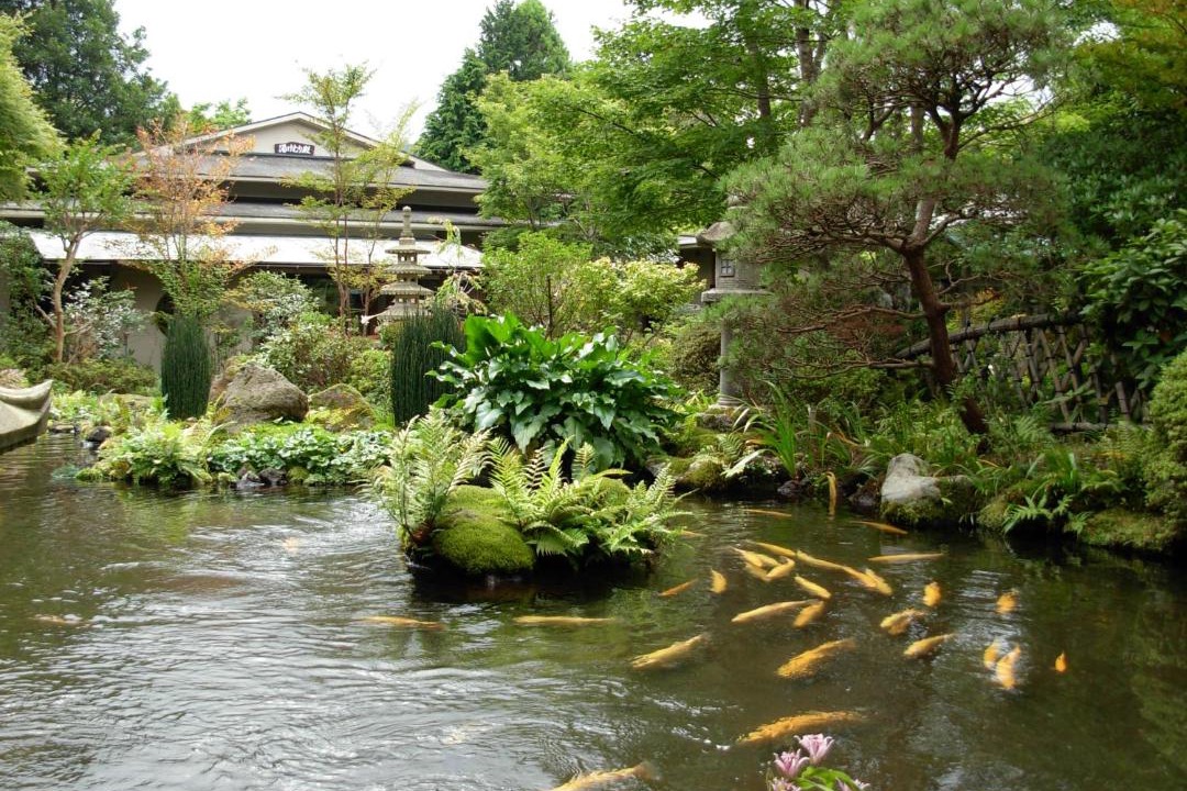 Photo of Others in Hakone