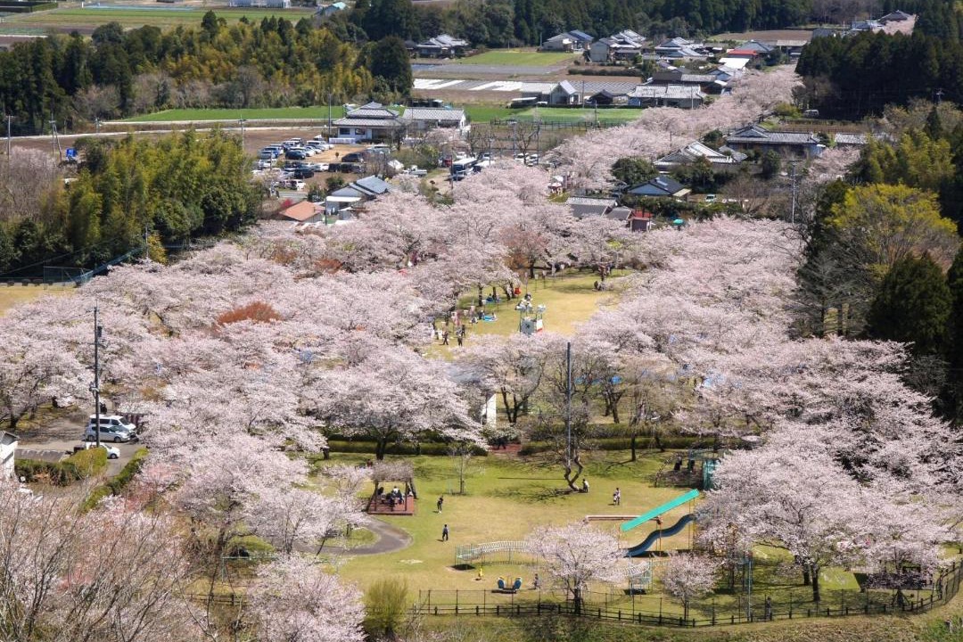 Photo of Others in Miyakonojo