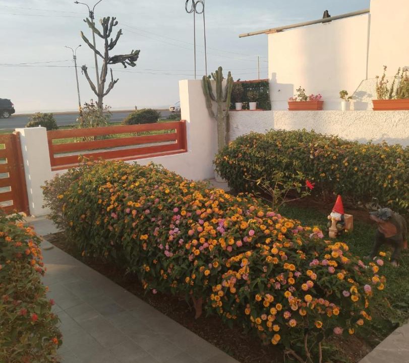 Photo of Others in Trujillo