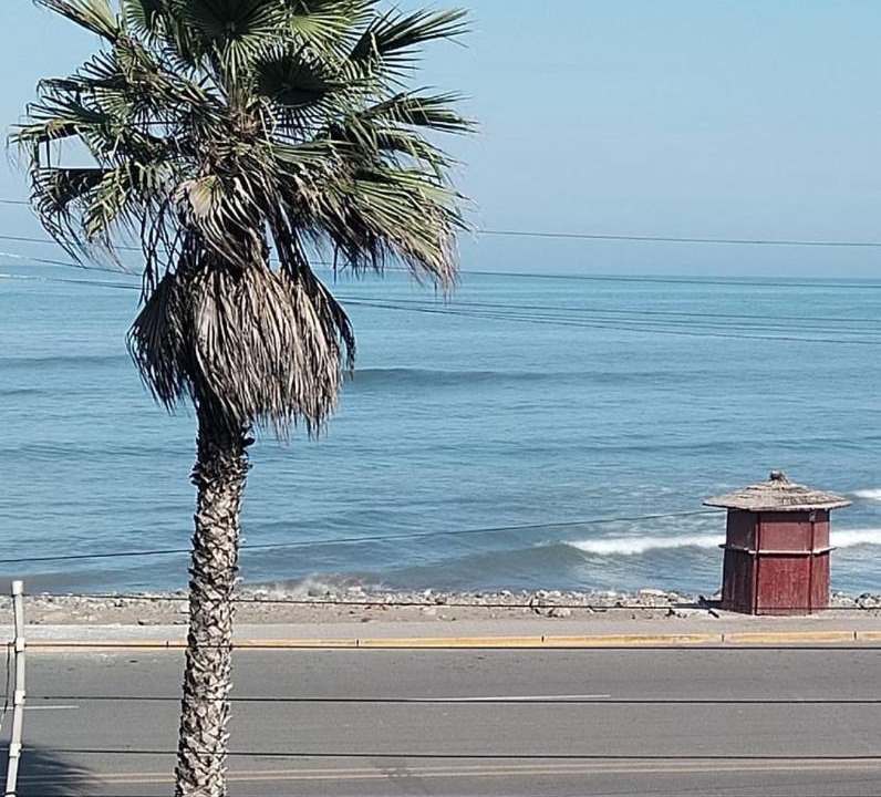 Photo of Others in Trujillo