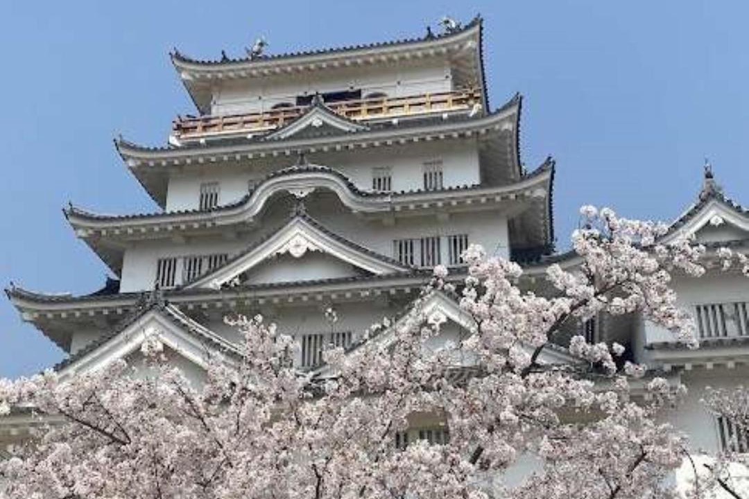 Photo of Others in Fukuyama