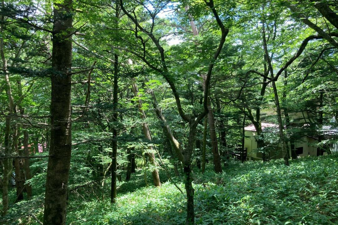 Photo of Others in Nasu