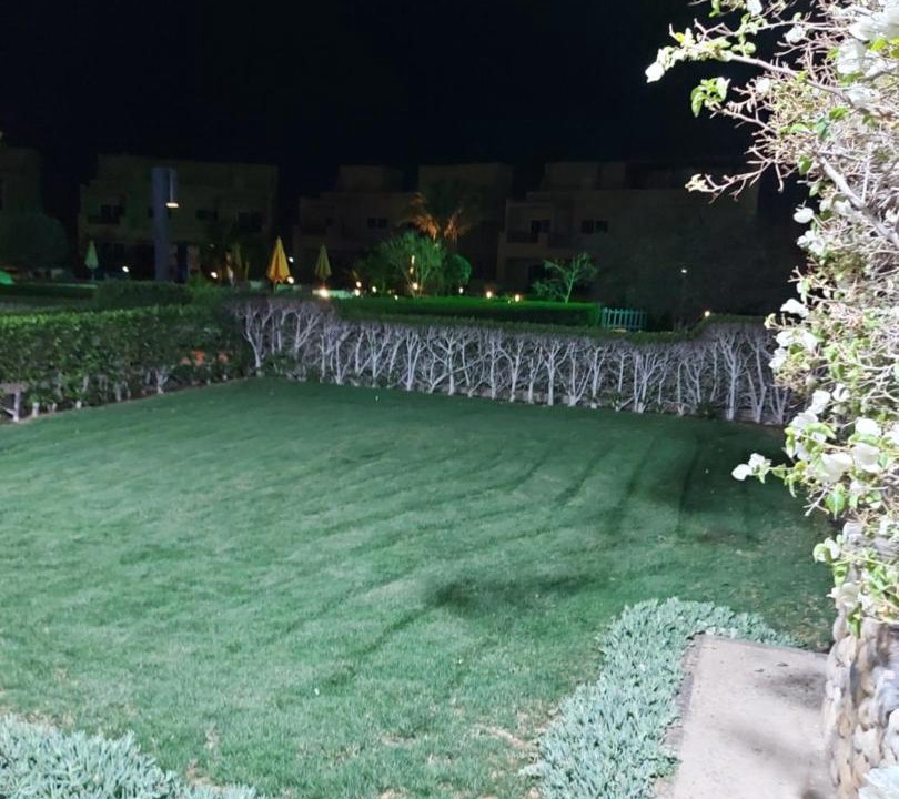 Photo of Others in Ras Sudar