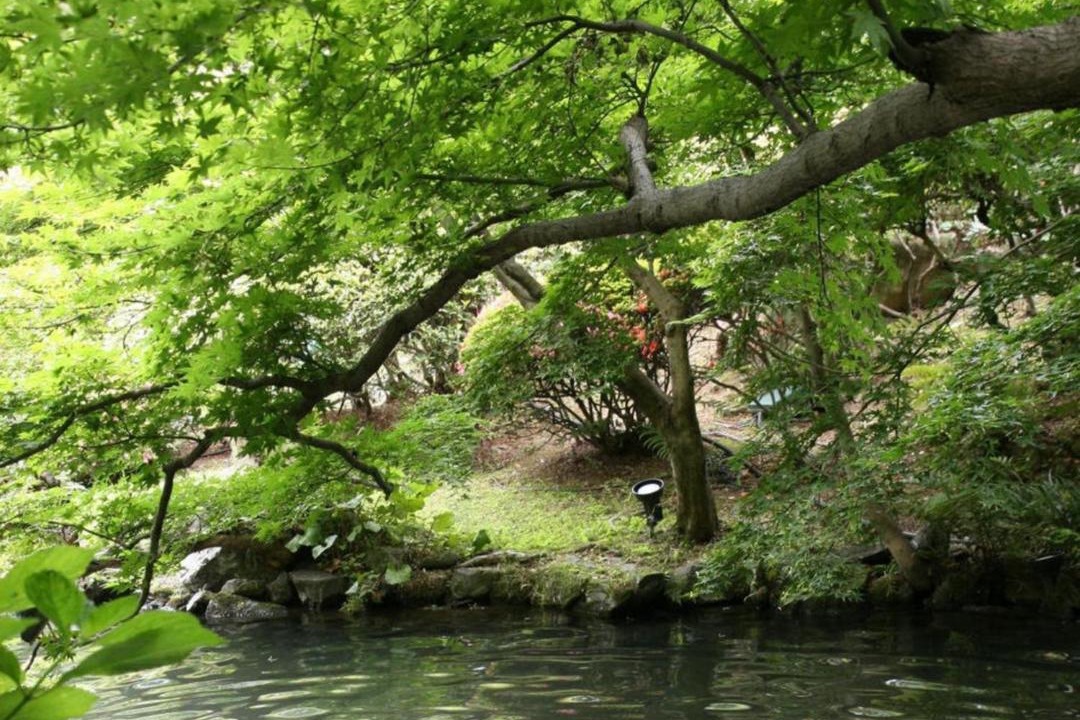 Photo of Others in Kurume