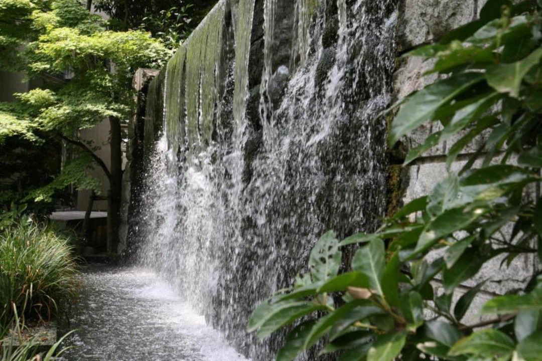 Photo of Others in Kurume