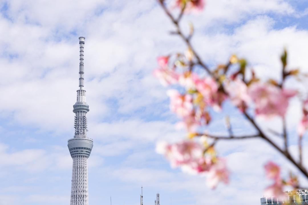 Photo of Others in Asakusa