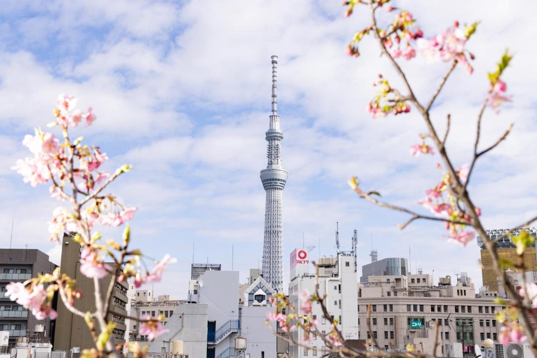 Photo of Others in Asakusa