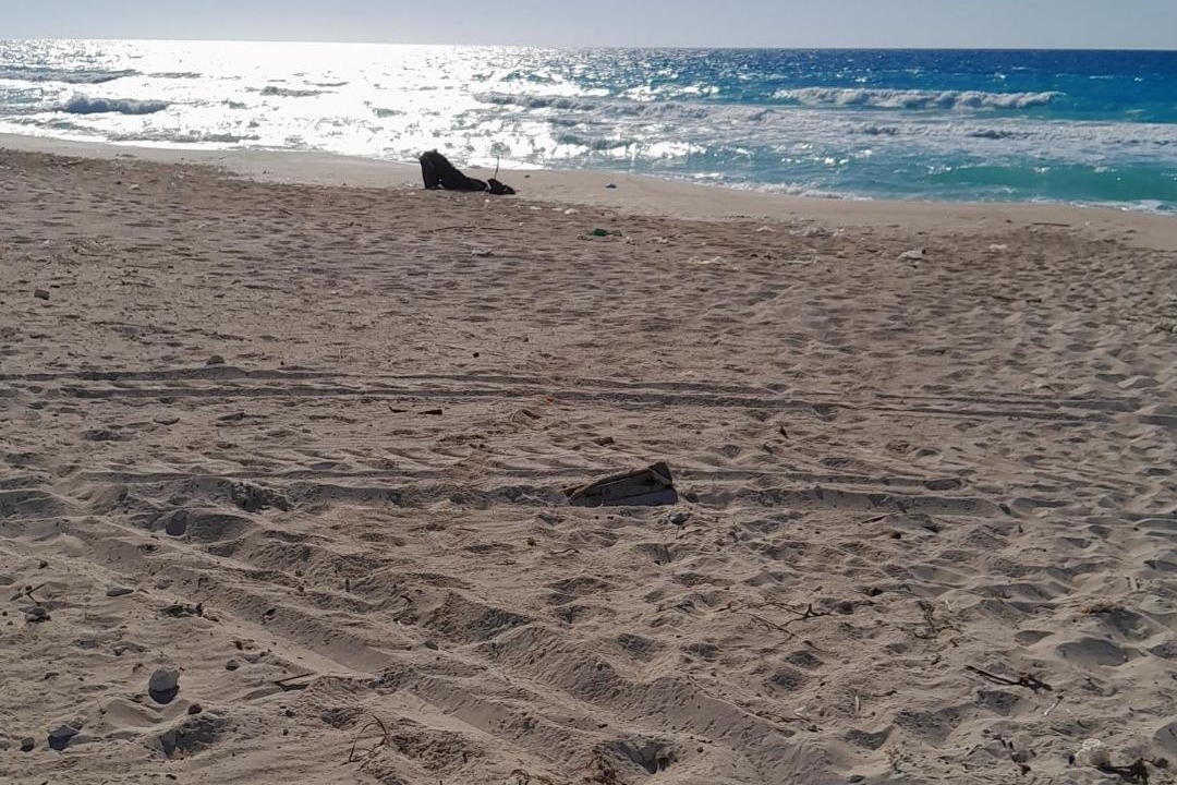 Photo of Others in Borg el Arab