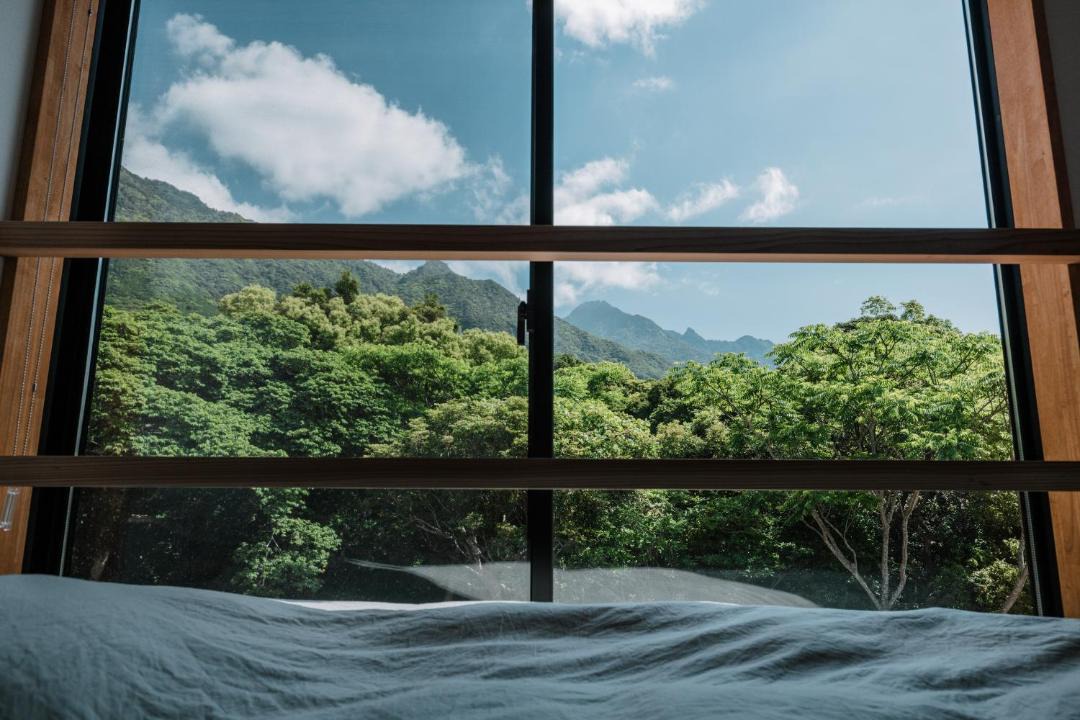 Photo of Others in Yakushima