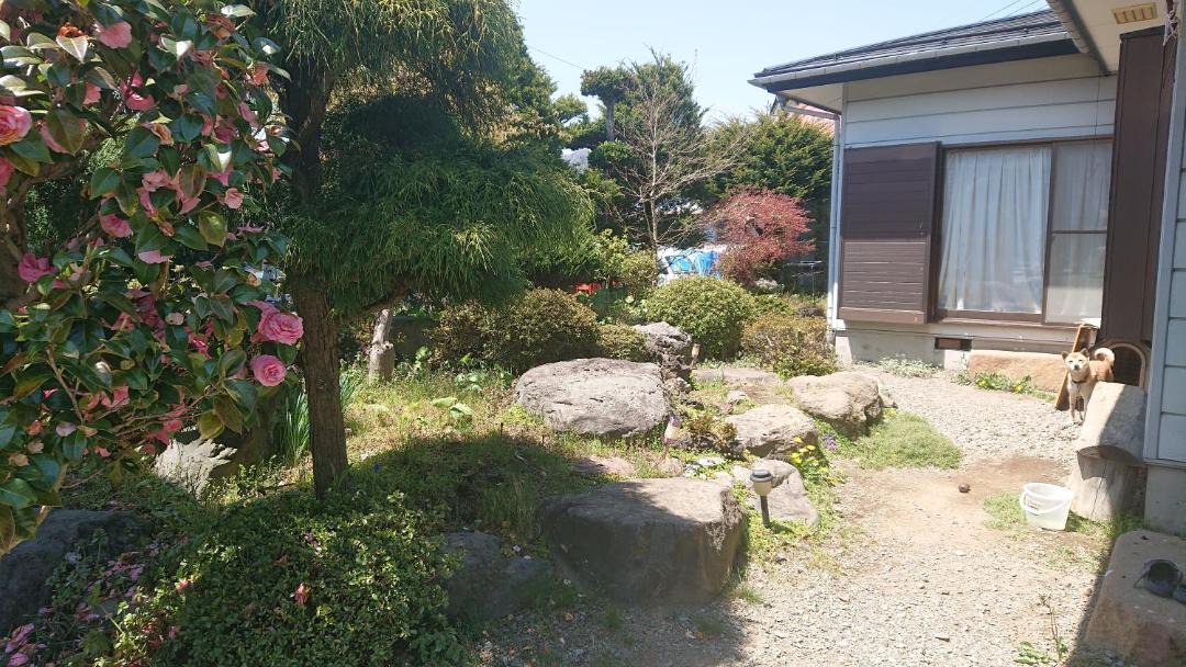 Photo of Others in Fujiyoshida