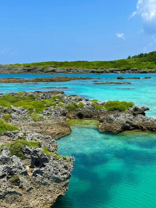 Photo of Others in Kikai Island