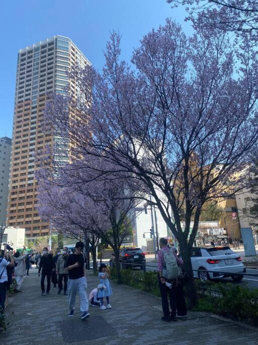 Photo of Others in Nishikoiwa