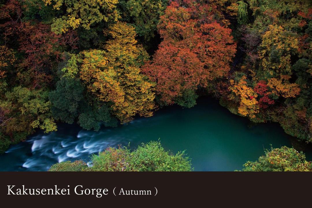 Photo of Others in Yamanakaonsen Higashimachi
