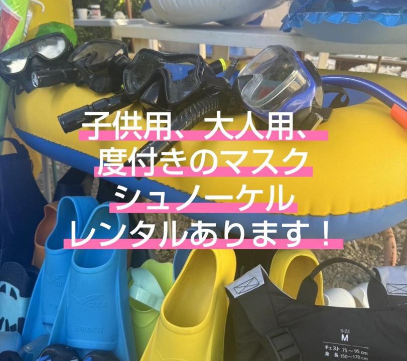 Photo of Others in Hateruma