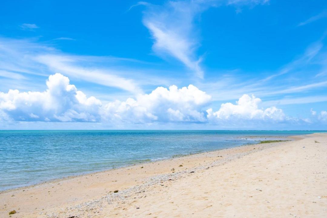 Photo of Others in Okinawa