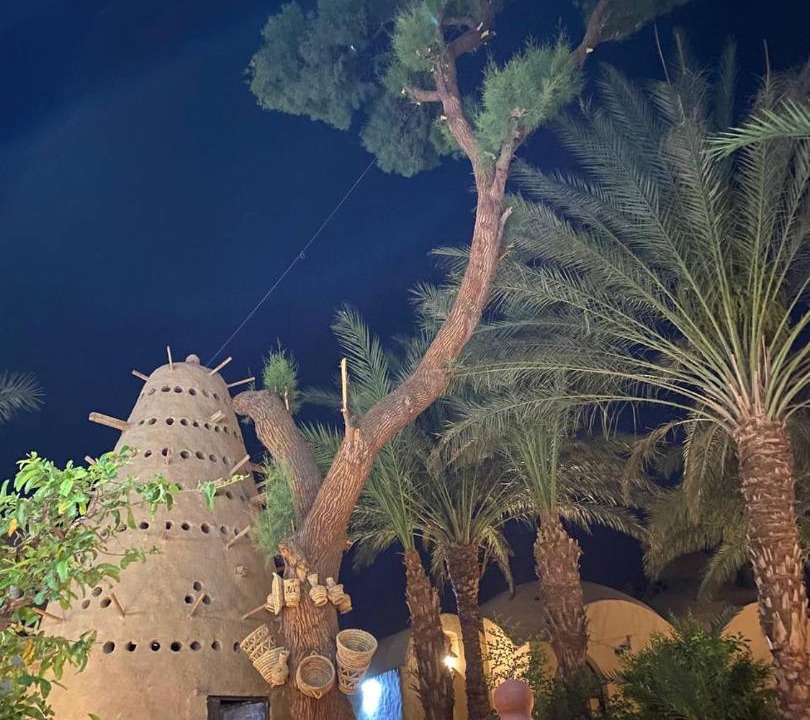Photo of Others in Luxor