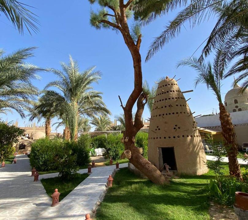 Photo of Others in Luxor