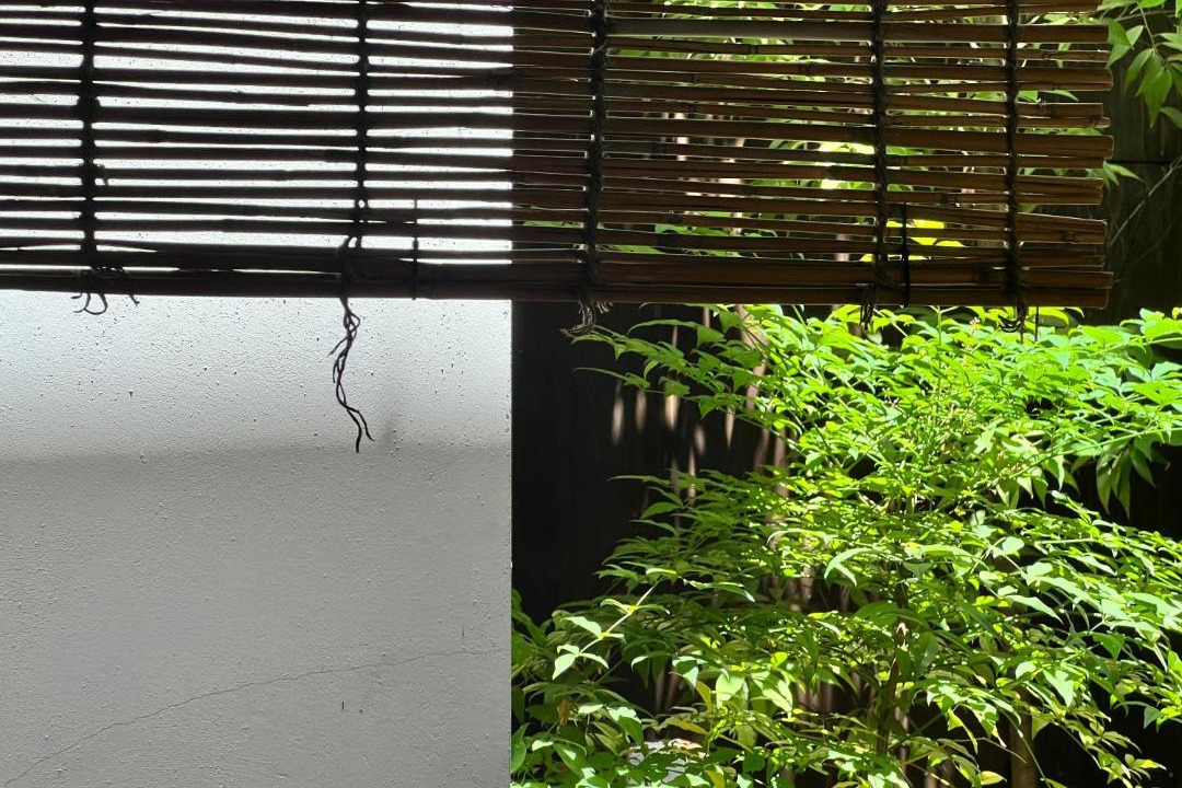 Photo of Others in Kita Ward