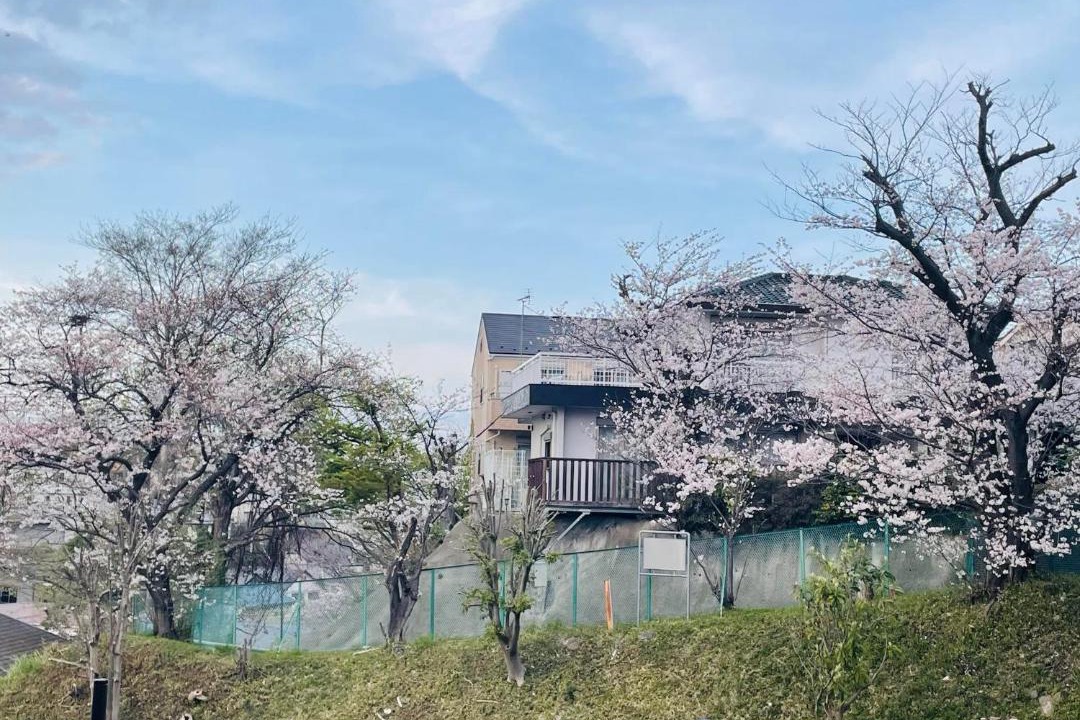Photo of Others in Isogo
