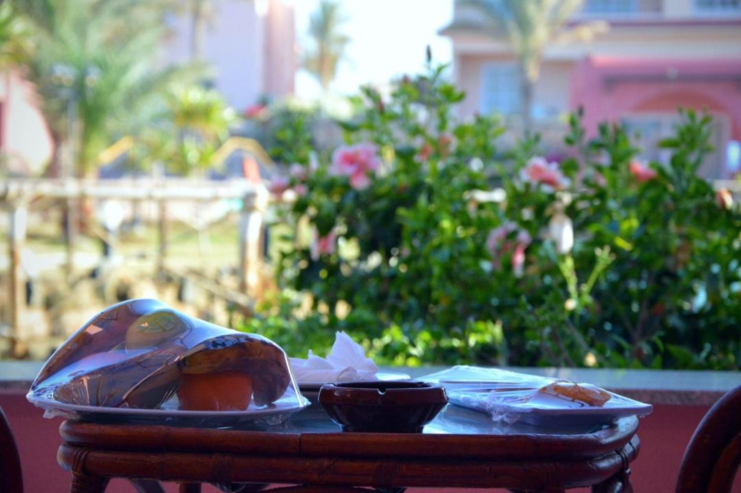 Photo of Others in Marsa Alam