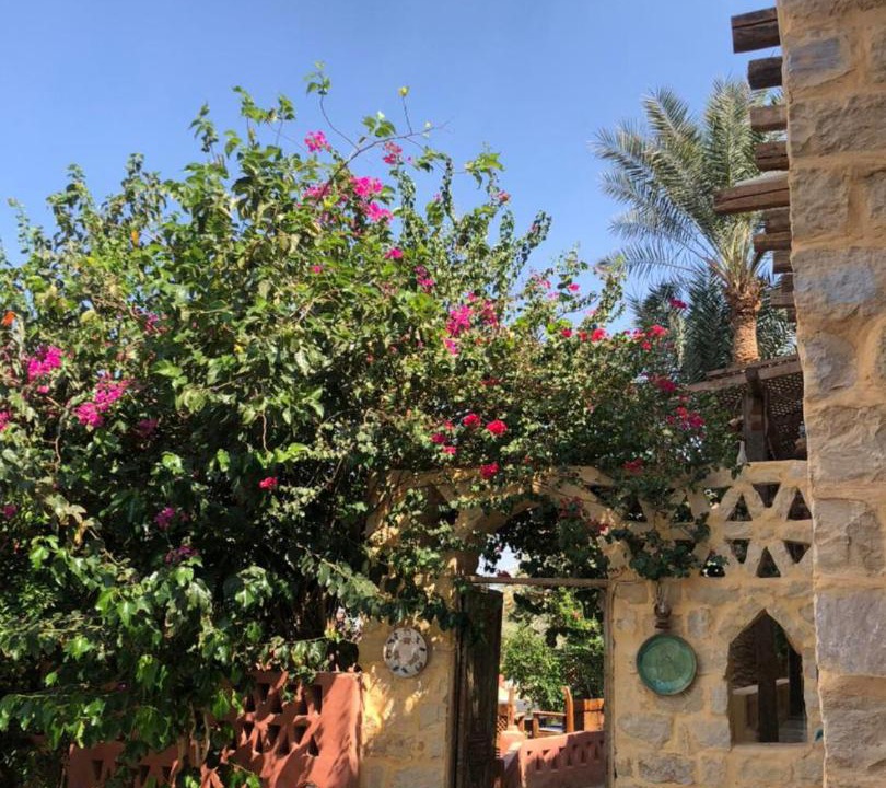 Photo of Others in Al Fayoum