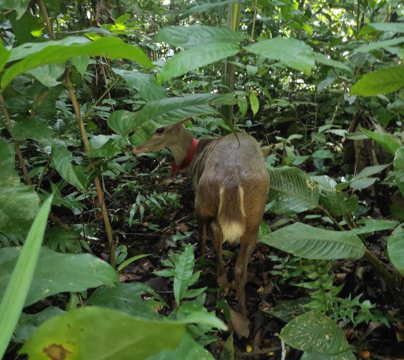 Photo of Others in Puerto Maldonado