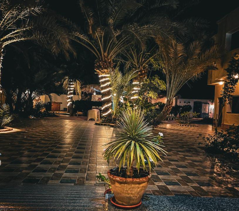 Photo of Others in Dahab