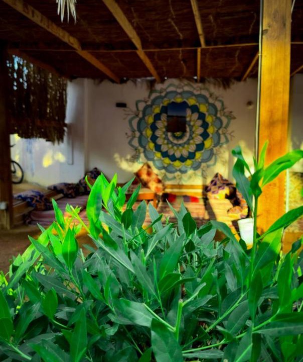 Photo of Others in Dahab